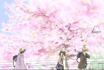 含羞草人口